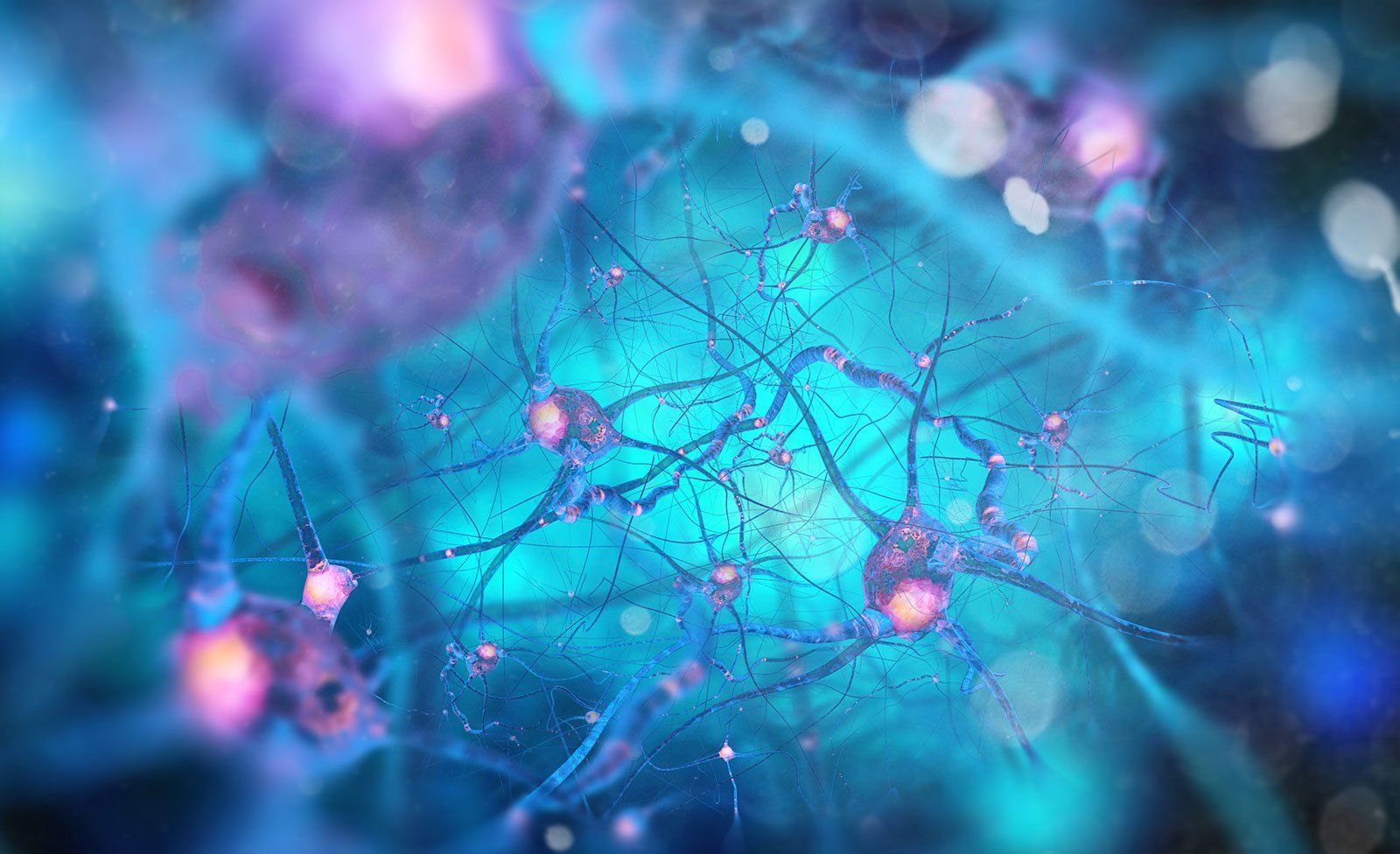 Electric-blue neurons firing across a network of nerve cells